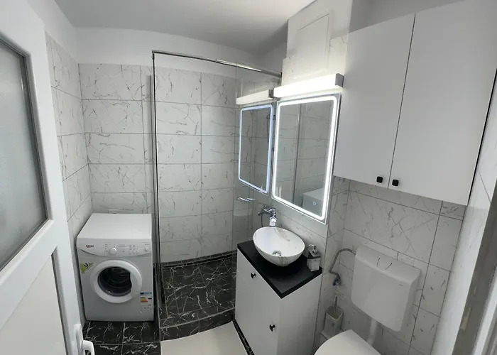 Apartment Gigi Timişoara