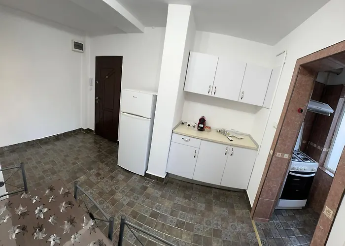 Appartement Gigi Timişoara